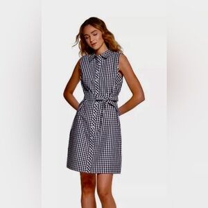 Tommy Hilfiger Blue and White Gingham Sleeveless Dress